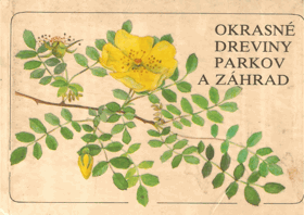 Okrasné dreviny parkov a záhrad