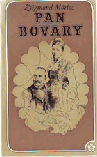 Pan Bovary