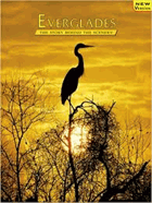 Everglades. The Story Behind the Scenery