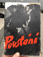 Povstání - partyzánský román