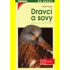 Dravci a sovy
