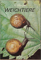 Weichtiere