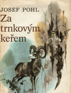 Za trnkovým keřem
