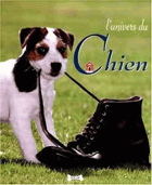 L'univers du chien