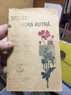 SEDLEC-HORA KUTNÁ Šolcův nový illustrovaný průvodce po památkách Sedleckých a ...