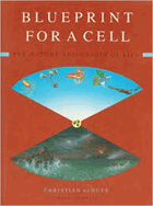 Blueprint for a cell