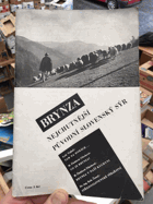 Brynza, nejchutnější původní slovenský sýr
