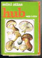 Miniatlas hub