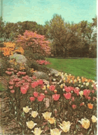 New Illustrated encyclopedia of gardening, unabridged