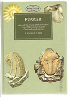 Fossils