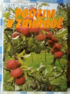 Podzim v zahradě. Texty a il. převzaty z angl. čas. Green Fingers.