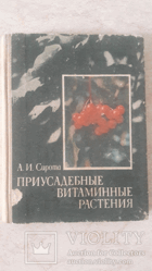 Приусадебные витаминные растения
