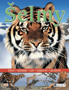 Šelmy - život, souboje, lov, námluvy, mláďata
