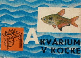 Akvárium v kocke