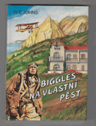 Biggles na vlastní pěst