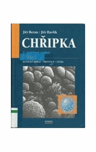 Chřipka