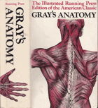 Anatomy, Descriptive and Surgical