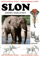 Sloni
