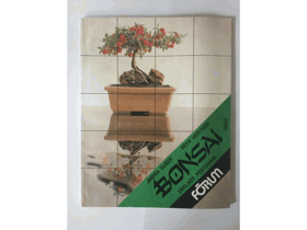 Bonsai - základy pěstování