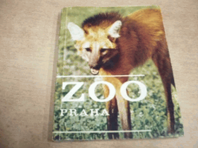 ZOO Praha. Umíte se dívat na zvířata?.