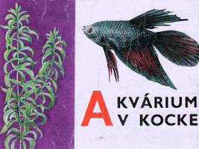 Akvárium v kocke
