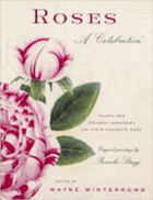Roses. A Celebration