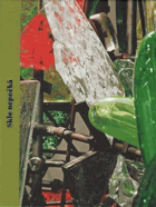 Sklo nepočká RENÉ ROUBÍČEK PODPIS Portrét Reného Roubíčka PODPIS ROUBÍČEK!!