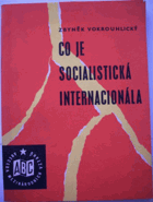 Co je Socialistická internacionála