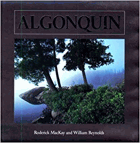 Algonquin