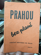 Prahou bez ptaní. Stručný průvodce po Praze, obsahující seznam státních úřadů, ...