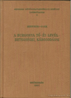 A burgonyagumó betegségei és károsodásai. Hinfner Kálmán dr. Csák Zoltán
