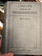 Lehrbuch der Protozoenkunde - eine Darstellung der Naturgeschichte der Protozoen mit besonderer ...