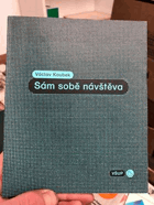 Sám sobě návštěva