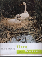 Tiere und Wasser