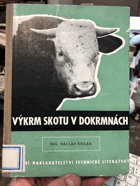 Výkrm skotu v dokrmnách