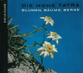 Die Hohe Tatra Blumen, Bäume, Berge