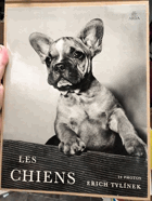 LES CHIENS Erich Tylínek - ORIG. 24 photos PORTFOLIO