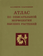 Атлас по описательной морфологии высших растений