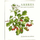 Arbres des parcs et jardins