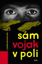Sám voják v poli