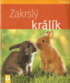 Zakrslý králík