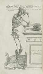 De humani corporis fabrica Angličtina