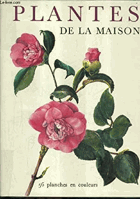 Plantes de la maison