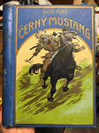 Černý Mustang