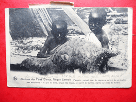 Africké děti s luskounem. Filatelie - doplatné poštovní známky (pohled)