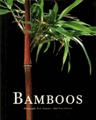 Bamboos
