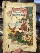 Amerikán. Národní kalendář na rok 1925