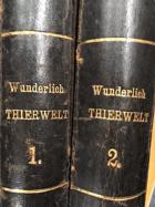 Die Thierwelt in naturgeschichtlichen Schilderungen, Biographien, Charakterbildern, Thierkämpfe, ...