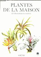 Plantes de la maison
