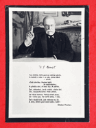 T. G. Masaryk - president osvoboditel (pohled)
